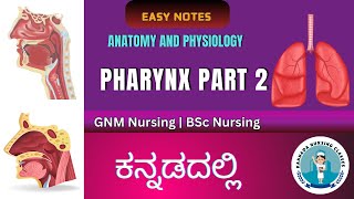 Anatomy And Physiology Of Pharynx Part 2  Respiratory System  Kannada Nursing Classes [upl. by Neona537]