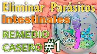 ELIMINAR PARÁSITOS INTESTINALES REMEDIO CASERO N° 1 [upl. by Ardnuas]