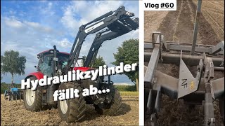 Stoppelbearbeitung und Fahrgassen aufreißen darauf ist zu achten  Farmvlog 60 [upl. by Edahc435]