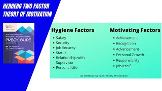 Herzberg two factor theory of motivation [upl. by Anrev]