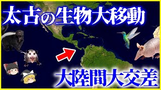 【ゆっくり解説】太古の生物大移動！「アメリカ大陸間大交差」で移動した生物たち9選を解説大陸が繋がって何が起きたか？ [upl. by Wilbert]