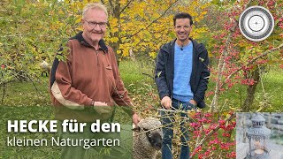 Heimische Wildgehölze als Hecke für den Naturgarten essbare gesunde Früchte  Teil 1 [upl. by Ardnaik]