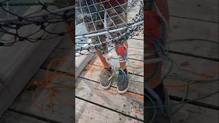 crabbing crabnet jettyfishing viralvideo [upl. by Leoni]