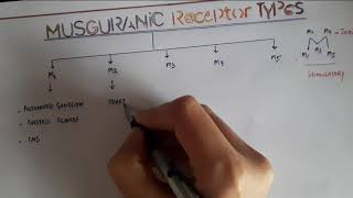 TYPES OF MUSCARINIC RECEPTORS WITH MNEMONIC [upl. by Aissila]