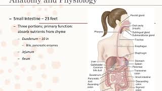 Introduction to Gastrointestinal Disorders [upl. by Ane]