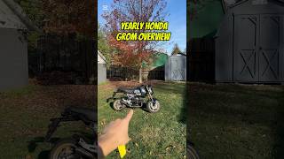 Honda Grom Year end Recap  honda hondagrom hondamotorcycles grom motorcycle shorts [upl. by Ennairol733]