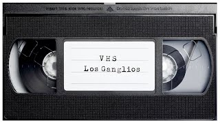 ✝ VHS ✝ Los Ganglios [upl. by Eynahpets335]