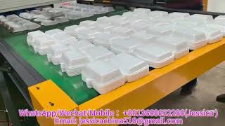 Hot sale PS foam thermocol disposable foam plates styrofoam food containers making machines [upl. by Mindy905]