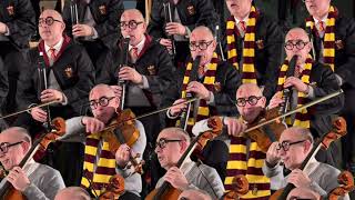 Hedwigs Theme  Harry Potter  John Williams [upl. by Noneek99]