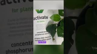 Activate P AquaVitro  Abono líquido para acuarios [upl. by Monie]