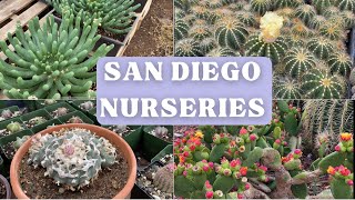 San Diego Succulent nursery tour [upl. by Aivilys32]