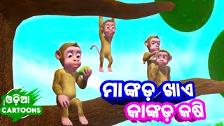 Mankada Khaye Kankada Kasi  Odia Cartoon Song  Sishu Batika  Lollipop [upl. by Pachston41]