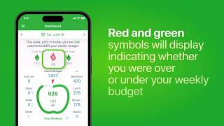 MyNetDiary Howto Dashboard Pulldown Statistics [upl. by Ayokahs]