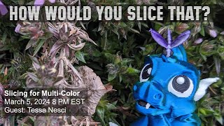 How Would You Slice That  Slicing for MultiColor with Tessa Nesci [upl. by Jo935]