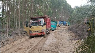 Konyol  Puluhan Sopir Truk Tergesa gesa Ketika Terjebak Di hutan HTI [upl. by Judas]