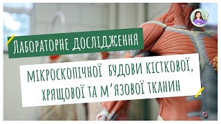 Лабораторне дослідження мікроскопічної будови кісткової хрящової та мязової тканин [upl. by Adnilra]