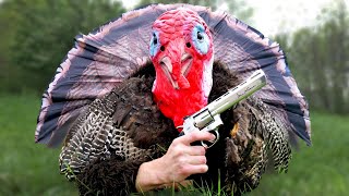 I Hunted Turkeys in a Turkey Costume [upl. by Aicelav]