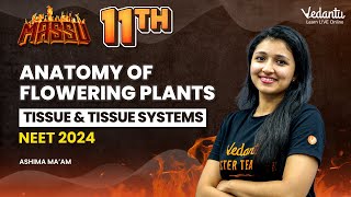 Anatomy of flowering plants  Tissue amp Tissue systems  Class 11 Biology  Ashima Maam  Vedantu [upl. by Mona422]