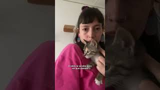 Gato recibe en casa a su nueva hermanita VIDEO HERMOSO🥰😻 [upl. by Kennedy]