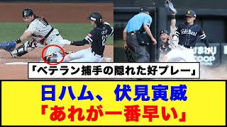 【日本ハム】伏見寅威「あれが一番早い」「レーザービームをサポートしたベテラン捕手の隠れた好プレー」【日本ハム反応集】【ネットの反応】日本ハムファイターズ 伏見寅威 万波中正 [upl. by Handel]