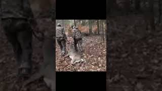 BIG New York BUCK DOWN Full video coming soon shorts [upl. by Etteval]