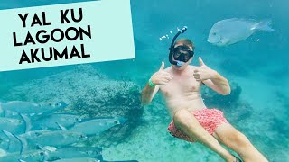 Snorkeling in Yal Ku Lagoon Akumal Quintana Roo Mexico [upl. by Adolph]