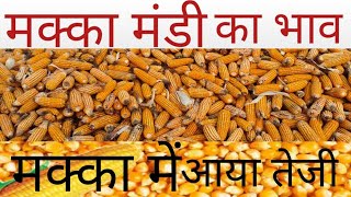 आज का मक्का का ताजा भावMakka Mandi ka bhavआज का मक्का का रेट Makka ka bhav Makka Ka rate [upl. by Natalina]