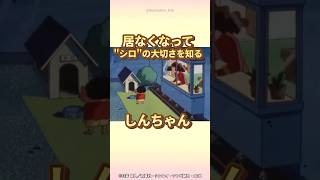 【感動】居なくなってquotシロquotの大切さを知るしんちゃん『シロがお病気だゾ』 クレヨンしんちゃん 感動する話 野原しんのすけ 野原みさえ [upl. by Echo]