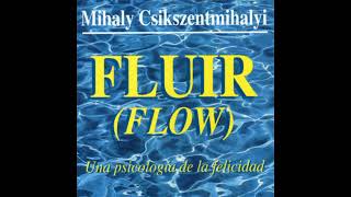 quotFluirquot de Mihály Csíkszentmihályi [upl. by Pepper]