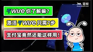 Transferwise账户要如何激活？Wise使用人民币汇款都有哪些限制？汇款时又需要注意什么？Wise转账到支付宝的操作流程是怎样的？盘点使用Transferwise的注意事项【境外银行开户】 [upl. by Biernat]