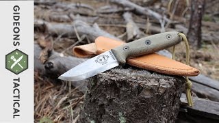 ESEE RB3 Scandi Knife I Need An RB4 [upl. by Notffilc]