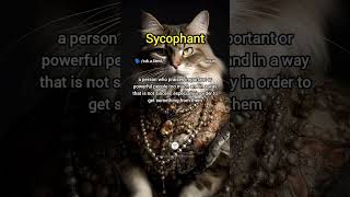 Sycophant Meaning amp Example Sentence [upl. by Divadnahtanoj]