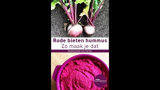 Stadstuinieren  Rode bieten kweken en oogsten  Recept Rode bieten hummus moestuin [upl. by Sharp]