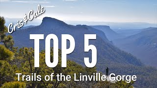 Top 5 Trails of the Linville Gorge  Best Hiking in North Carolina  Pinchin  Hawksbill  Shortoff [upl. by Cran]