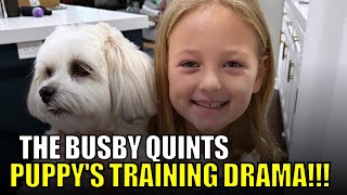 OutDaughtered  The Busby Quints Puppy Gets ANGRY After First Training Session FUNNY Reaction [upl. by Vikky]