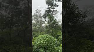 Vistas de Argovia naturalezaimpresionante travel bosques aves mexico turismodeexperiencia [upl. by Hadden]