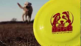 Latitude 64° Bite Dog Discs [upl. by Vernor]