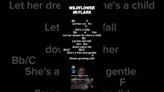 WILDFLOWER CHORDS AND LYRICS  COVER  WILDFLOWER BY SKYLARK [upl. by Miuqaoj419]