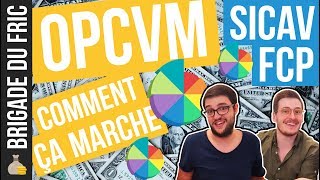 OPCVM Comment ça marche  SICAV amp FCP [upl. by Malin]