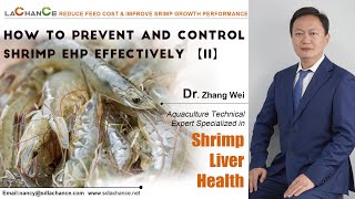 How to prevent and control shrimp EHP Shrimp feed additive of bile acids and Eucalyptus oil [upl. by Enialed455]