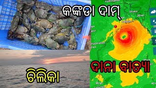 Chilika fishing Indian s largest lake fishing vlog MRCHILIKAVlog [upl. by Yht]