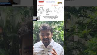 How Chemical Admixture works in Concrete  Science behind using chemical admixture in concrete [upl. by Bashee]