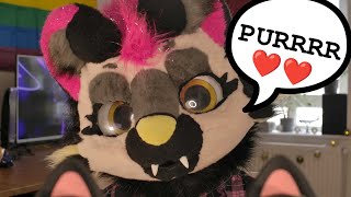 Furry ASMR Je ronronne et te gratte les oreilles  😸❤️ [upl. by Earahs457]