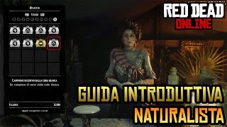 Guida NATURALISTA Introduttiva  RED DEAD ONLINE TUTORIAL ITA [upl. by Nho]