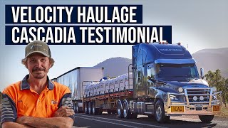 Freightliner Cascadia – Velocity Haulage Customer Testimonial [upl. by Nylhtak274]