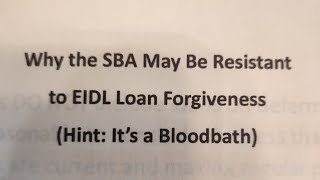 Why the SBA may be resistant to EIDL loan Forgiveness Hint its a Bloodbath for them already [upl. by Elaynad]