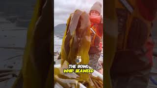 This seaweed looks very crunchy and crispy shortvideo shorts [upl. by Iverson954]