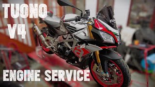 Big Engine service on my Aprilia Tuono v4 1100 Valve clearance check oil and filter change [upl. by Laban169]