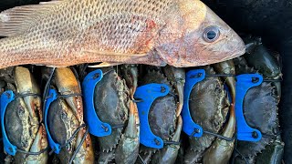 FINGERMARK  WINTER MUDCRABS  CATCH AND COOK australia fishing [upl. by Ilyak]