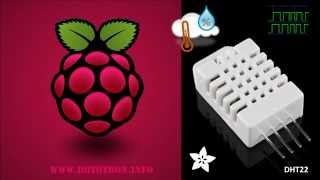 DHT22 Raspberry Pi Humidity Temperature Sensor Tutorial [upl. by Xilef]